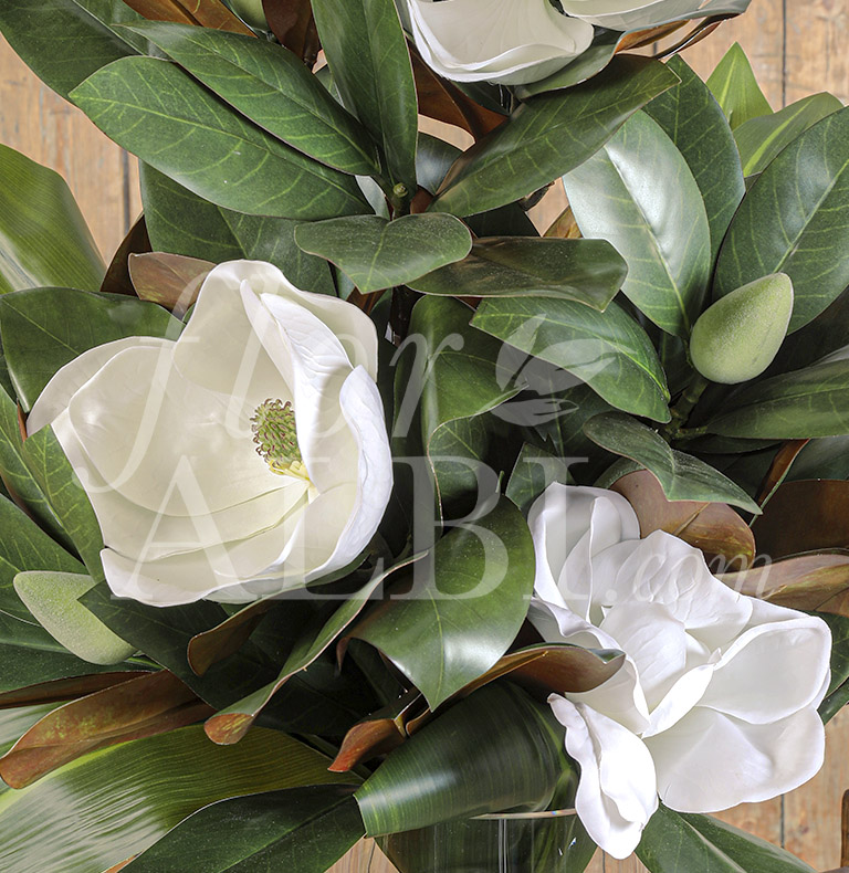 especial magnolias