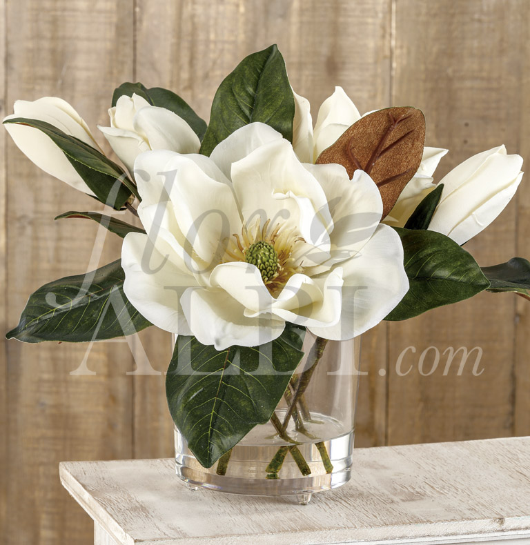 especial magnolias